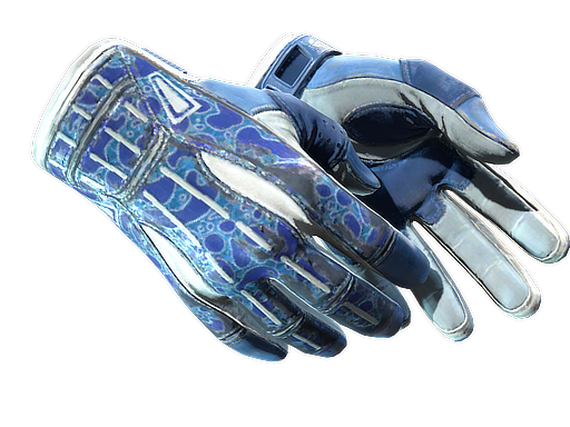 ★ Sport Gloves | Amphibious (Field-Tested)